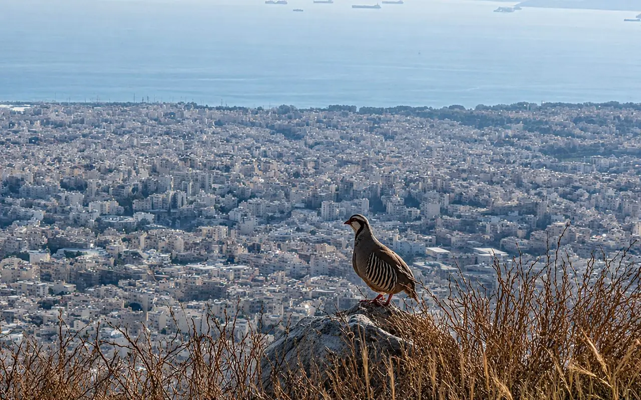 Υμηττός (Ηλιούπολη-Πυλώνες-Μιχαηλίδης-Αρχαίων-κτφ ΕΟΣΗ) - 3