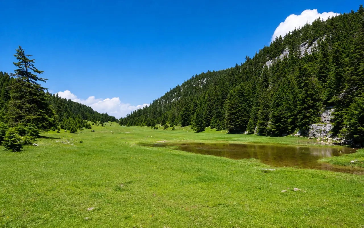 6 Dec 2026: Elikonas (Kyriaki-Megali Lutsa) - 3