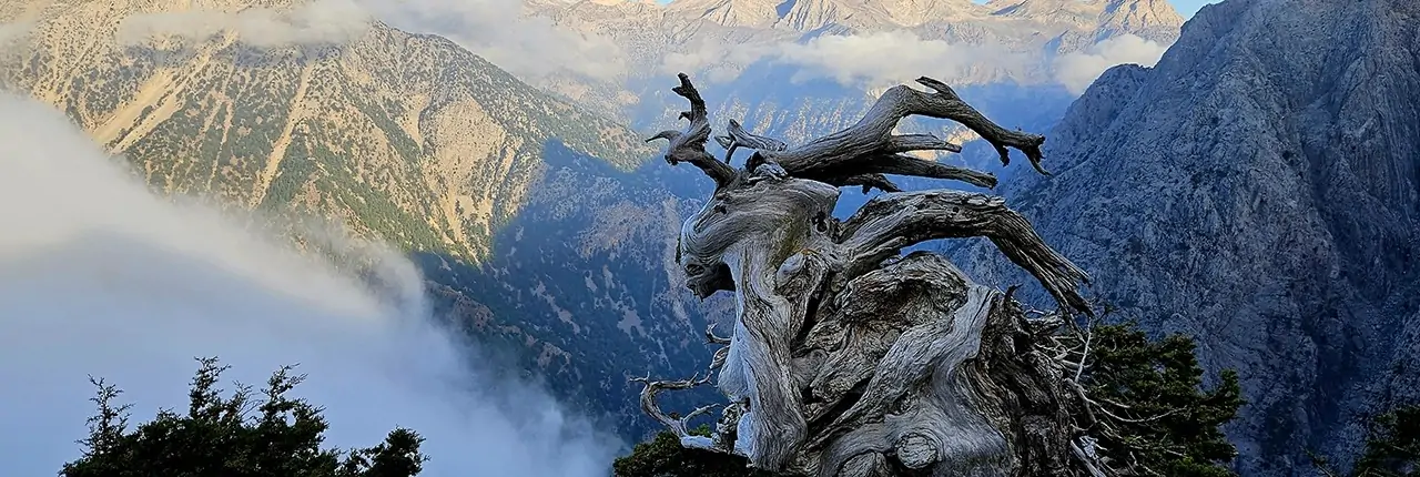 84th Panhellenic Mountaineering Meeting - White Mountains Crete