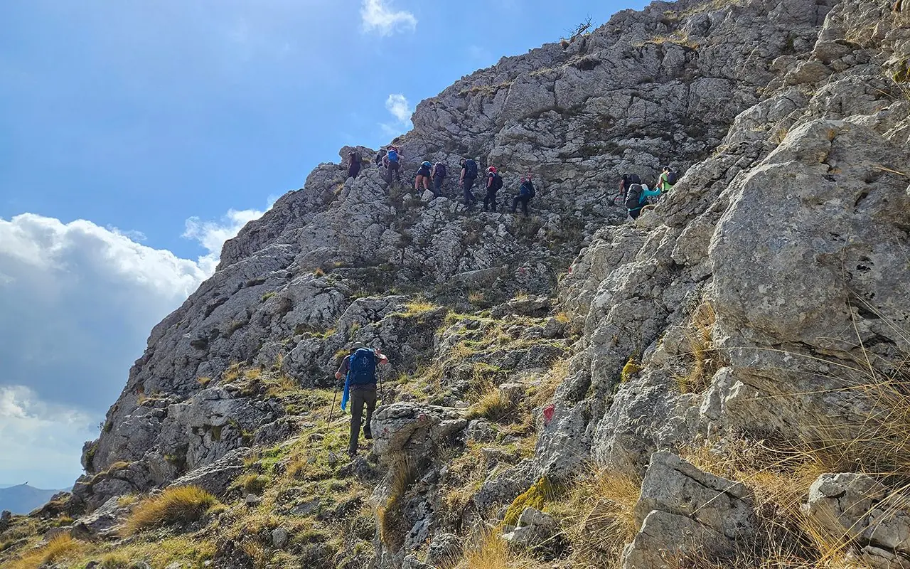 Αρτεμίσιο (Καρυά-Μαλεβός-Νεστάνη, κλασσική & χτένια) - 4