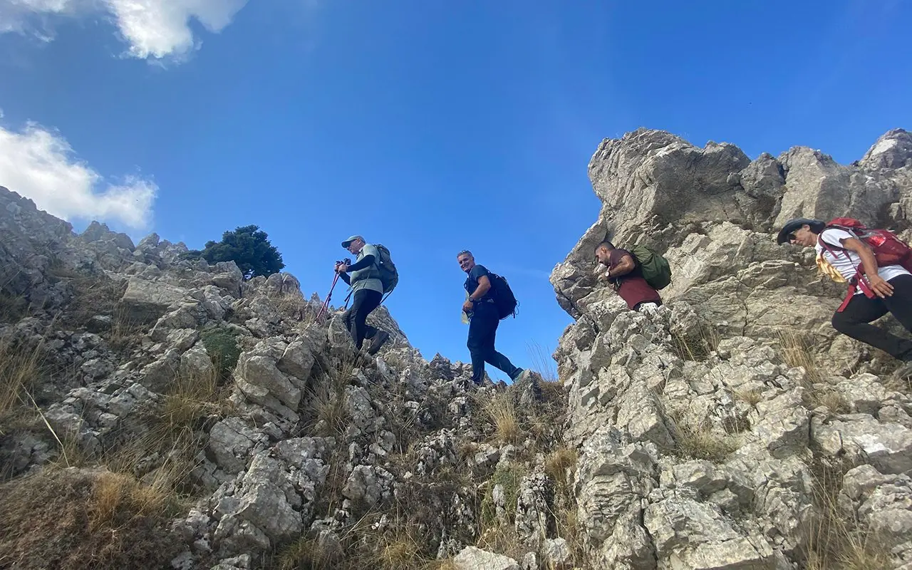 Αρτεμίσιο (Καρυά-Μαλεβός-Νεστάνη, κλασσική & χτένια) - 3