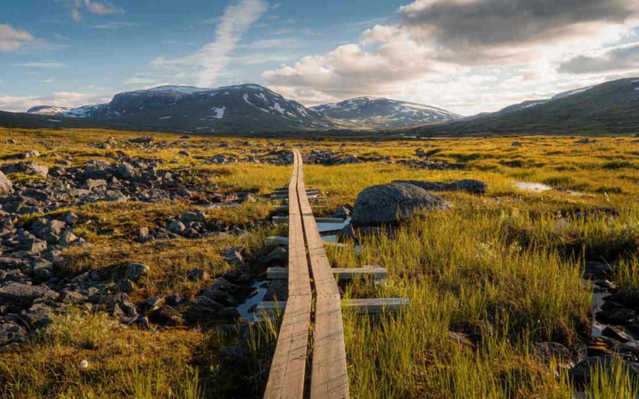 Northern Sweden (Kungsleden trail)