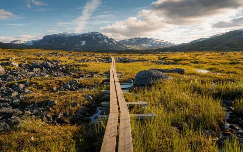 26 Jul-3 Aug 2026: Northern Sweden (Kungsleden trail)