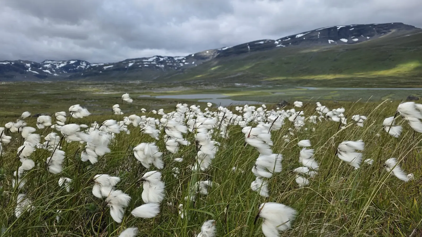 Βόρεια Σουηδία (Kungsleden trail) - 5
