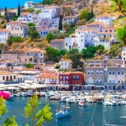 hydra