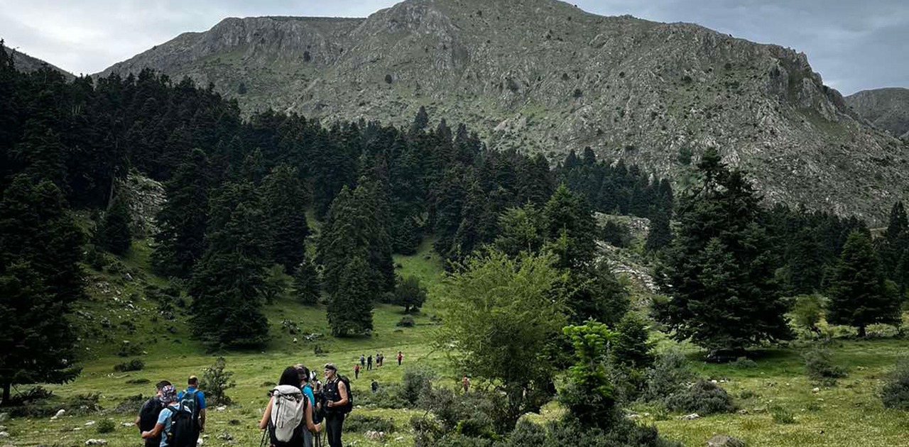 Mikri-Zireia-flabouritsa