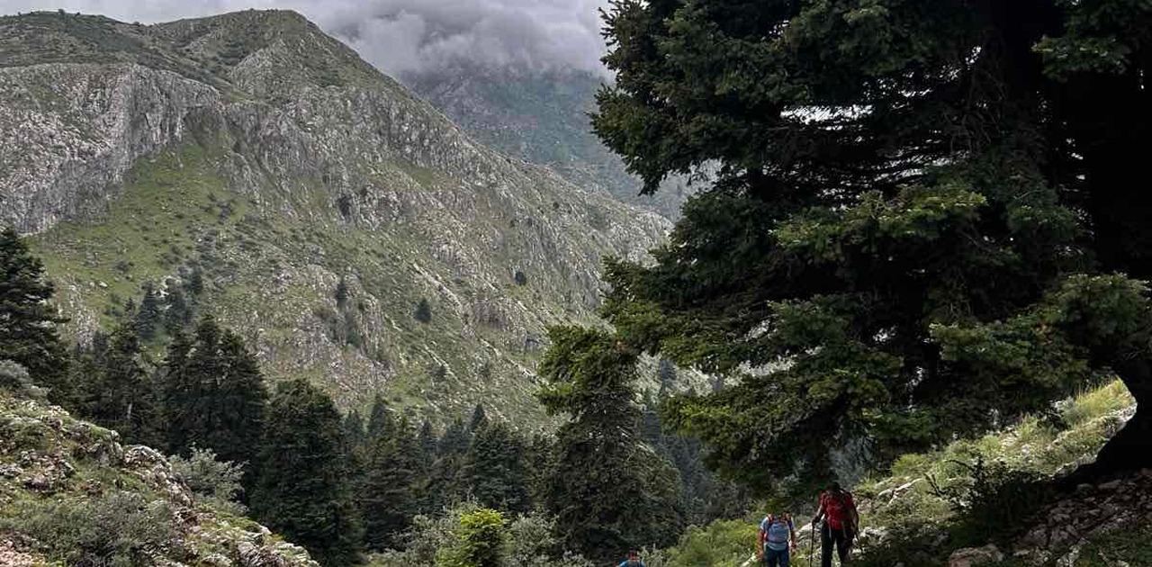 Mikri-Zireia-flabouritsa